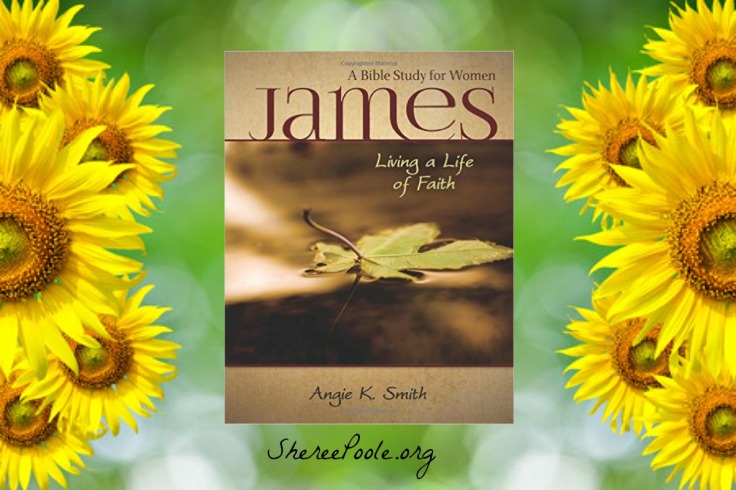 james-intro-and-registration-sunflower-pic